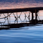 mulpodgusternumali1mal