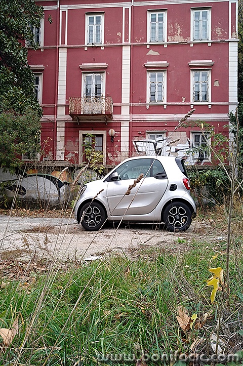 smart1mal