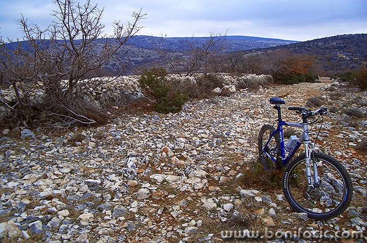 z3-(19)trek100