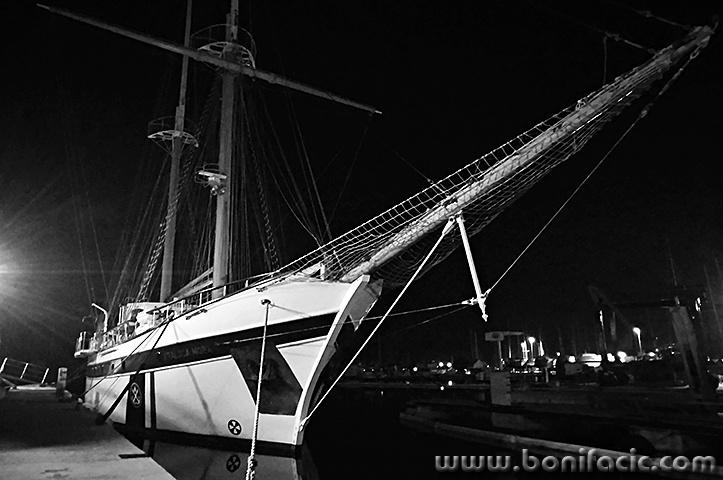 kraljicamoranocskver1mal