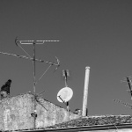 porec19bwmal
