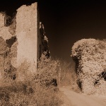 salaticpano1sepiamal