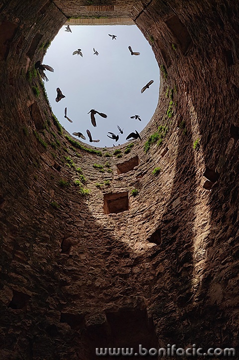 kulagolubovigrimaldi1mal