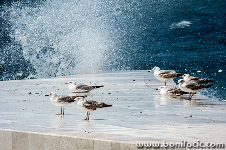vodice27mal