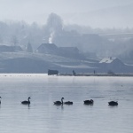 travel___Swan Lake___Ogulin, Croatia.