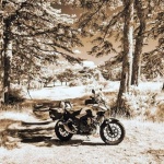 hobrovacir2sepiaaddmal