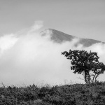 posedarjestablo3BWmal