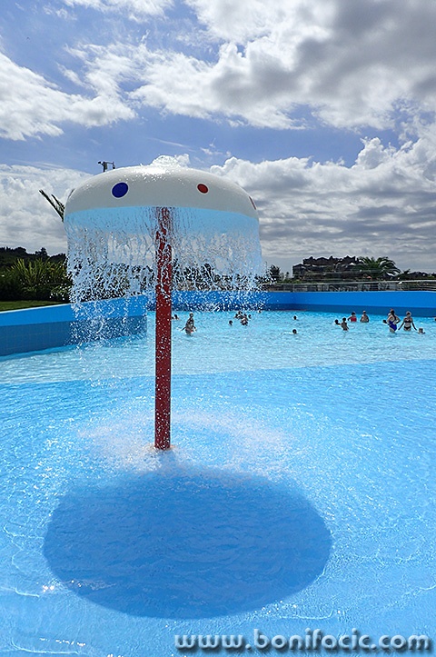 aquac8mal
