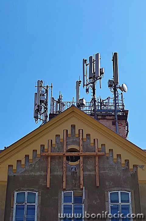 zg28mal