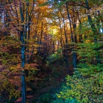 mrzlavodicajesen13mal