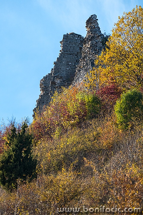 gradina217mal