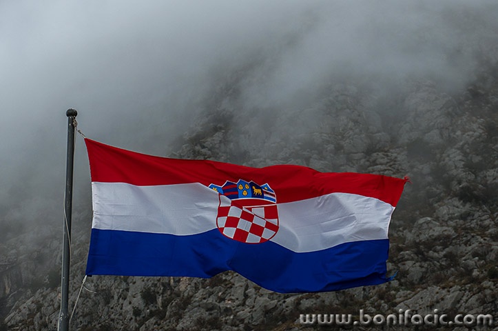 sokolgrad8mal