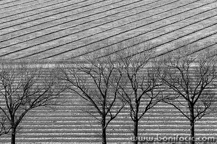 poljepp5BWmal