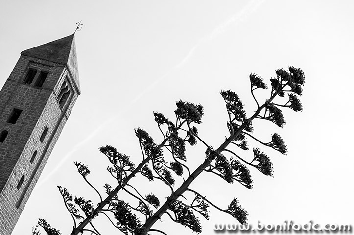 rab33BWmal