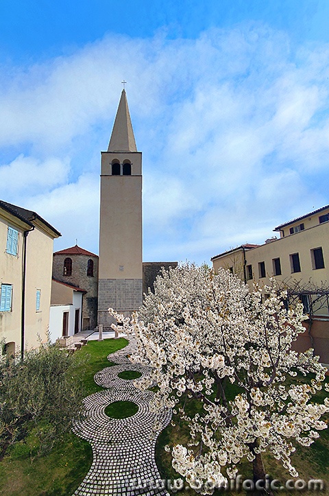 porec55mal