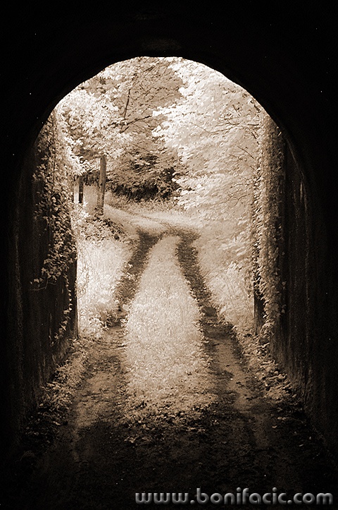 moraviceirsepia7mal