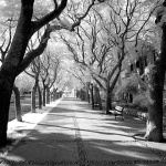 bw___Alameda___Cres, Croatia.