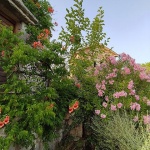 IMG_20220627_185905solarismobmal