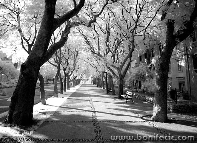 bw___Alameda___Cres, Croatia.