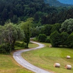 gomirjecestabale10mal