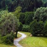 gomirjecestabale16mal