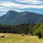 ljubosinaklekbale4mal