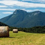 jubosilnaklekbale2mal