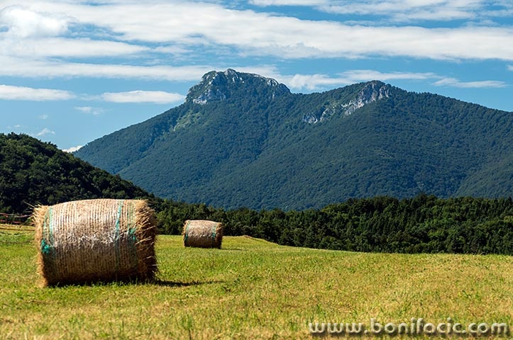 jubosilnaklekbale2mal