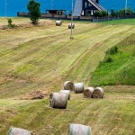 ljubosinabalekuca1modmal