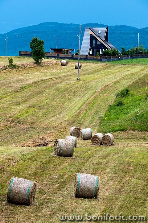 ljubosinabalekuca1modmal
