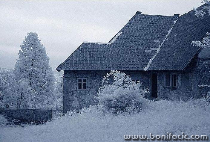 bw___Backyard___Modrus, Croatia.