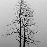 bw___Barrenness___Modrus, Croatia.