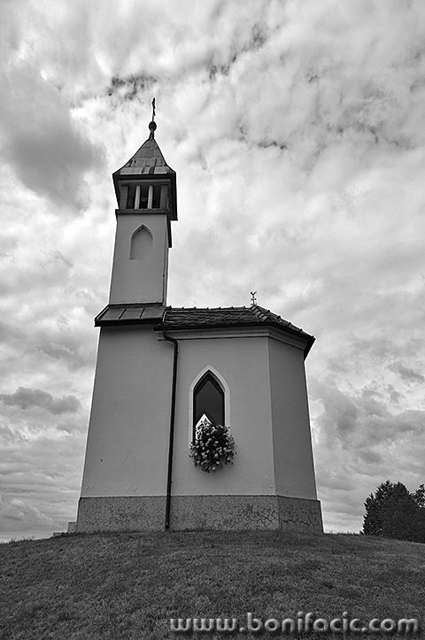 crikvicasvmartinbw1mal