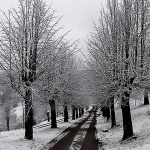 bw___Black On White___Modrus, Croatia.