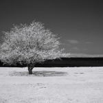 bw___Black Sea___Punat, Croatia.
