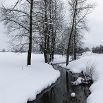 bw___Black Water___Josipdol, Croatia.