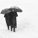 bw___Black Widows___Ostarije, Croatia.