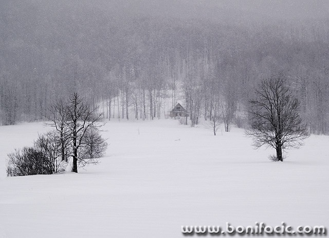 bw___Blizzard___Gorski Kotar, Croatia.