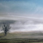 ravnagorastablomagla1mal