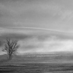 stablomaglaravnagorabw2mal