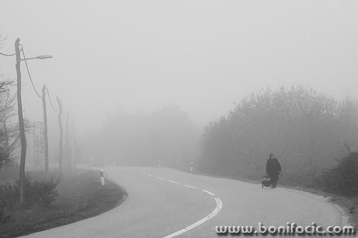 babamaglavojnic5bwmal
