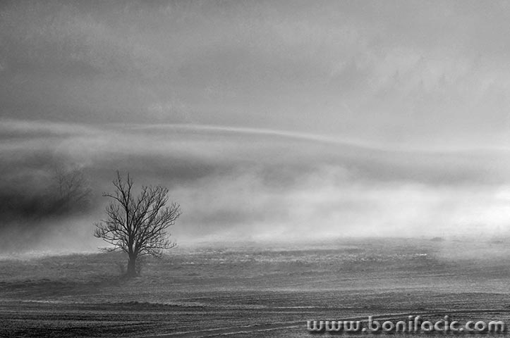 stablomaglaravnagorabw2mal