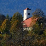 cerovnikcrikvasuma1mal