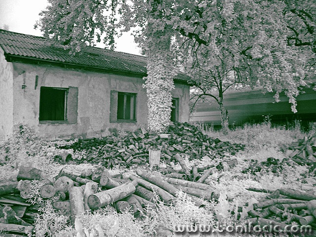 bw___Bustle Train___Skrad, Croatia.