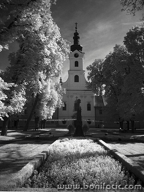 bw___Central Park___Bjelovar, Croatia.