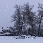 josipdollagersnigpahulje1mal