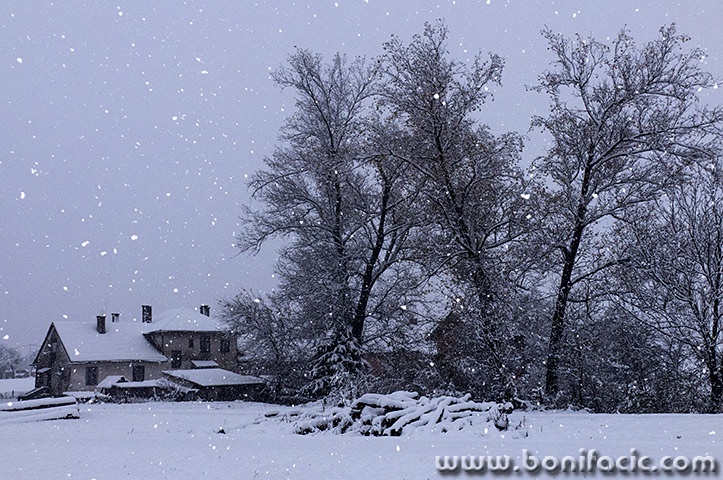 josipdollagersnigpahulje1mal