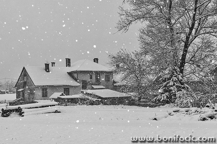 josipdollagersnig1bwmal