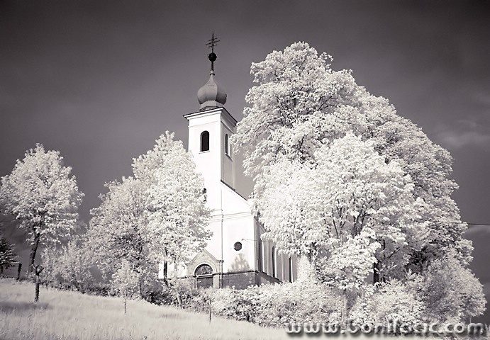 bw___Church___Dokmanovici, Croatia.