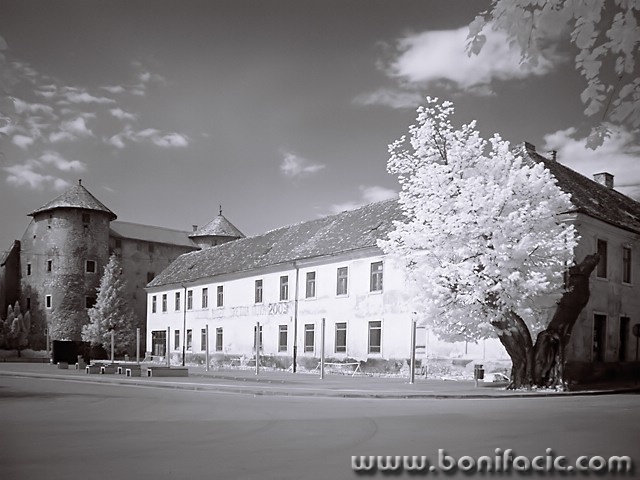 bw___City Hall___Ogulin, Croatia.